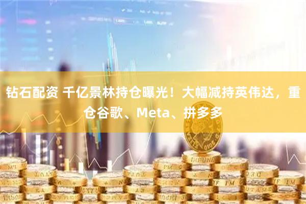 钻石配资 千亿景林持仓曝光！大幅减持英伟达，重仓谷歌、Meta、拼多多