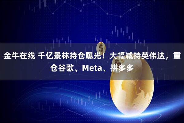 金牛在线 千亿景林持仓曝光！大幅减持英伟达，重仓谷歌、Meta、拼多多