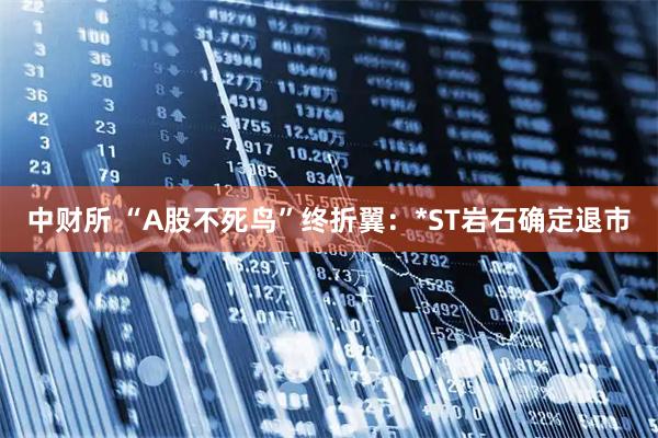 中财所 “A股不死鸟”终折翼:*ST岩石确定退市