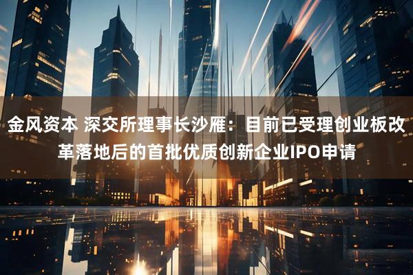 金风资本 深交所理事长沙雁：目前已受理创业板改革落地后的首批优质创新企业IPO申请