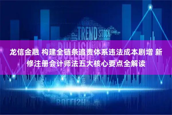 龙信金融 构建全链条追责体系违法成本剧增 新修注册会计师法五大核心要点全解读