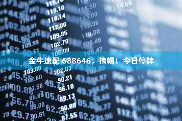 金牛速配 688646，摘帽！今日停牌